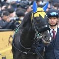 【バレンタインS】半姉はディアドラ 23年きさらぎ賞馬フリームファクシが約1年ぶりの復帰戦だ