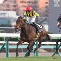 【注目馬動向】６戦オール連対＆２５年ファイナルＳ覇者ジョイフルニュースは３月１５日の東風Ｓへ