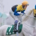 今週の武豊騎手は11鞍 白毛のマルガでクイーンSの21年ぶり4勝目なるか