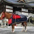 義経神社で馬産地の伝統神事「初午祭」が執り行われる 競馬関係者約150人が参列