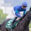 【小倉大賞典想定馬・騎手】センツブラッド、ショウナンアデイブなど23頭