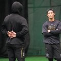 【阪神】坂本誠志郎、侍アドバイザーのダルビッシュにかぶりつく「いろいろ教えてもらいながら」