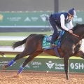 【競馬予想】サウジカップに臨む絶対王者フォーエバーヤングを脅かす存在はいるか？　気になる人気薄２頭