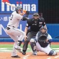 【巨人】キャベッジ“今季1号”ライブBPで戸郷の内角直球を右翼ポール際に運ぶ