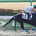 【東京４Ｒ・３歳新馬】ダノンレジェンド産駒ノースブルースカイが逃げ切ってＶ発進　今後は短距離路線へ