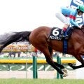 【東京９Ｒ・箱根特別】アーモンドアイの初子アロンズロッドの２６年初戦は３着　ルメール騎手「次は良くなりそう」