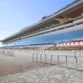 【ＪＲＡ】２月２８日、３月７日の中山でジョッキーチャリティー写真撮影会を開催