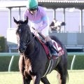 【注目馬動向】高松宮記念でラストランのナムラクレアは浜中俊騎手とのコンビ復活　長谷川調教師「苦楽をともに…」