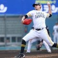 2月なのに154キロ…育成にいた“秘密兵器”が「マジでエグい」　WBCにも出場「ダイヤの原石」