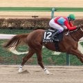 【銀蹄S】武豊ストレングスが抜け出す…2馬身半差完勝