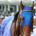 【サウジダービー】ゴール前失速のサトノボヤージュは３着　日本馬５頭出しも４度目の勝利はならず