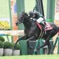 【アミールT結果】8歳のディープモンスターが海外重賞初制覇！