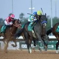 【リヤドダートスプリント】しぶとく粘ったアメリカンステージは４着　日本馬４頭出走も４度目の勝利ならず　