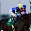 【リヤドダートスプリント】プラ騎手「素晴らしい競馬でした」BCスプリント2着馬イマジネーションの末脚炸裂