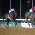 【サウジＣ】フォーエバーヤングが史上初の連覇！再び１５億円超を獲得　坂井瑠星騎手「アメージングホース」