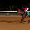 【サウジカップ】フォーエバーヤングが史上初の2連覇達成！ 圧巻競馬で1番人気の期待に応える