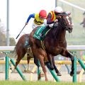 【クイーンＣ】ルメール「いい反応」ドリームコア重賞初制覇　牝馬クラシック戦線に新星