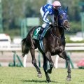 【共同通信杯予想】皐月賞やダービーにつながる出世レース