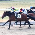 【京都１Ｒ・３歳未勝利】第２回京都競馬最終日の初戦は武豊騎手騎乗のガウラディスコが鮮やかに差し切る「もっと走れそう」