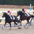 【京都４Ｒ・３歳１勝クラス】怪物候補ダノンバーボンが圧巻の２連勝　西村淳也騎手「馬が期待に応えてくれました」