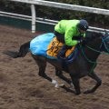 日曜京都競馬場の注目激走馬…京都１１Ｒ京都記念・Ｇ２