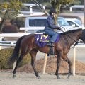 【注目馬動向】フェブラリーＳに登録しているヤマニンウルスが回避　斉藤崇調教師「体調が整わないため」