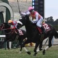 【JRA・WIN5】売上62億超で歴代最高を更新、的中3159票も配当は155万9760円