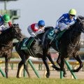 【共同通信杯】リアライズシリウスが重賞2勝目…無敗のG1馬ロブチェンは3着