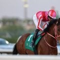 【リヤドダートスプリント】坂井瑠「スムーズなレースでした」アメリカンステージは見せ場十分の4着