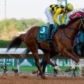 【サウジダービー】道営ベストグリーン先行策で見せ場も…直線では余力なく9着まで