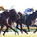 【共同通信杯】手塚久調教師「皐月賞に向かおうと思います」リアライズシリウスがクラシックへの登竜門レース制した