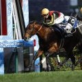 【阪急杯】3連勝中ディアナザールなど18頭