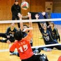 ネット際の攻防　25組熱戦　神戸で冬パラバレーボール選手権