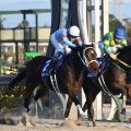 【フェブラリーS想定騎手】ダブルハートボンドは坂井瑠星騎手、コスタノヴァはC.ルメール騎手