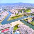 「花粉症だから春旅ムリ」はもう古い！約3割が旅行を断念する中、救世主は「北海道」だった？
