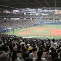 【オリックス】本拠地・京セラドーム大阪の人工芝張り替え　3月2日のWBC強化試合で披露