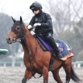【フェブラリーＳ】史上３頭目の連覇狙うコスタノヴァ３か月ぶりの実戦も気配一変　陣営「ようやく本来の走り」
