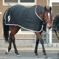 【ダイヤモンドＳ】３８年ぶり牝馬Ｖへ　ステイヤーズＳ覇者ホーエリート重賞連勝だ　陣営「目標は天皇賞・春」