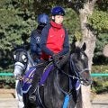 【注目馬動向】共同通信杯Ｖリアライズシリウスは皐月賞へ　手塚久調教師「中山の２０００メートルは大丈夫でしょう」