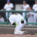 巨人・丸が２年ぶりの死球でまさかの謝罪？「ピッチャーに申し訳ない」　昨季は無死球「当たらないのが売りだった」