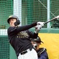阪神・ドラ２谷端　柵越え自己最多４発！日々成長中　日大先輩の平野歩夢から刺激「常に１００％でやっていきたい」