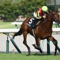 【阪急杯展望】データが示す上がり馬ディアナザールに勝機あり