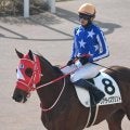 【大井・雲取賞注目馬】ダート三冠の頂へ一歩踏み出す馬は 羽田盃トライアルに16頭集結