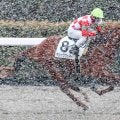 雪の一戦となった前走５馬身差Ｖマジッククッキーは昇竜Ｓへ　鞍上は引き続き２戦２勝の上里直汰騎手を予定