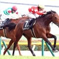 【注目馬動向】先週の箱根特別を制したレッドバンデは阪神大賞典へ