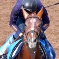【注目馬動向】ビザンチンドリームはドバイの招待を辞退　アミールトロフィーで７着