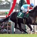 ヤマニンサルバムの競走馬登録を抹消　２４年新潟大賞典など重賞２勝　地方競馬に移籍予定