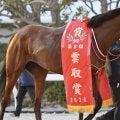 【雲取賞】矢作師「サウジCと同じくらい嬉しい」リアライズグリントが快勝