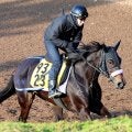 【注目馬動向・古馬】リラボニートは田山旺佑騎手との初コンビで愛知杯へ　佐賀記念５着のデルマソトガケはダイオライト記念