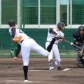 阪神・元山　先輩・中野に待った！連続猛アピール　シート打撃でマルチ安打